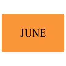 JUNE Label - Printed Month Stickers Orange 100mm x 165mm 500/roll