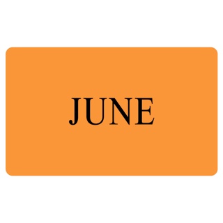 JUNE Label - Printed Month Stickers Orange 100mm x 165mm 500/roll