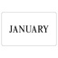 Month Printed Sticker Labels (JANUARY) Black on White 100mm x 165mm  500/roll